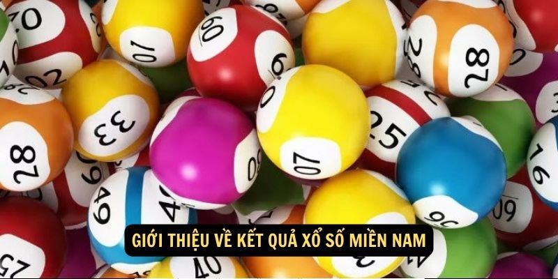 Kết Quả Xổ Số Miền Nam: Tra Cứu Nhanh Chóng và Chính Xác, hiện thực hóa ước mơ làm giàu! 5 Giới thiệu về kết quả xổ số miền Nam