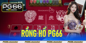 Rồng Hổ Pg66